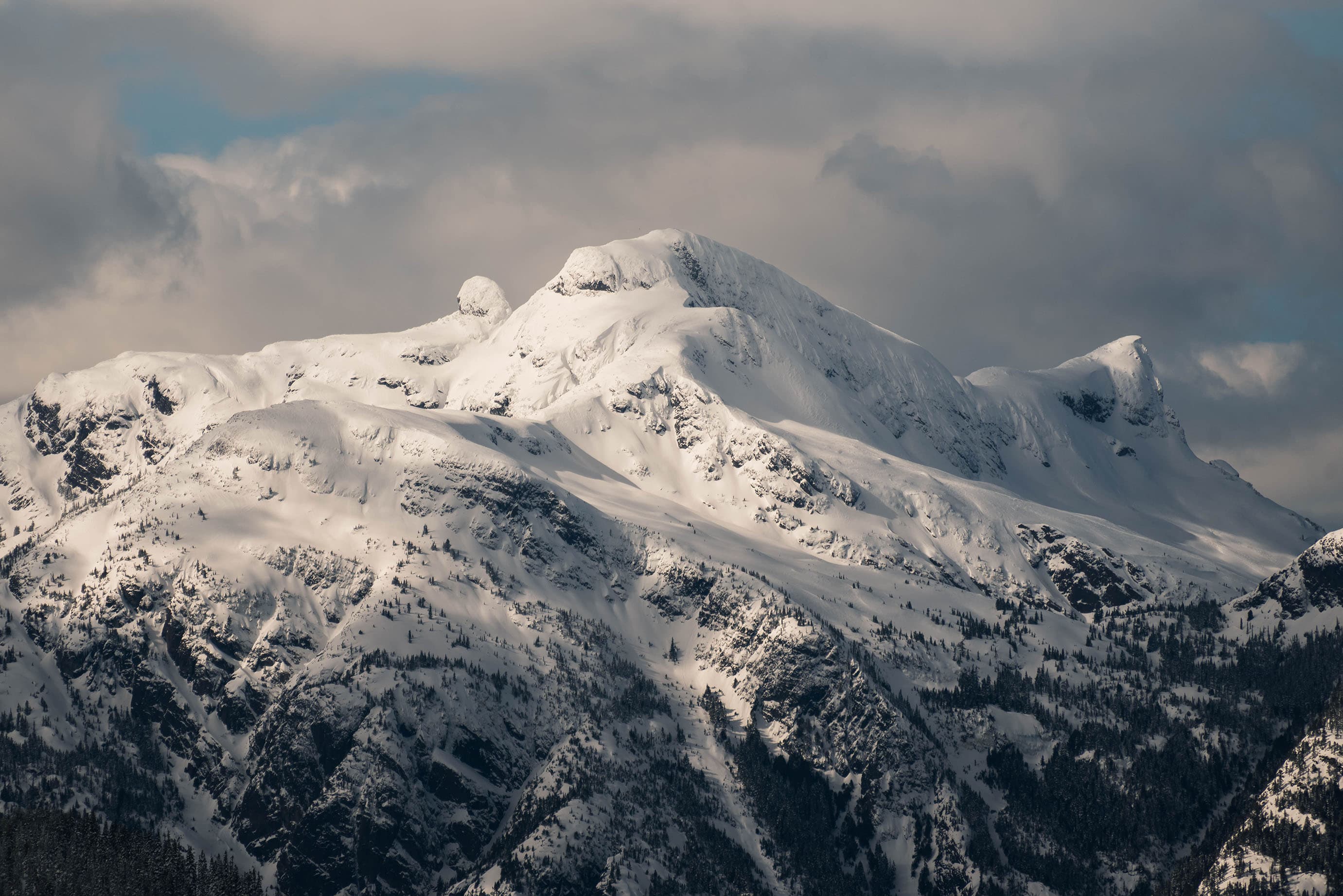 Landscapes showcase image